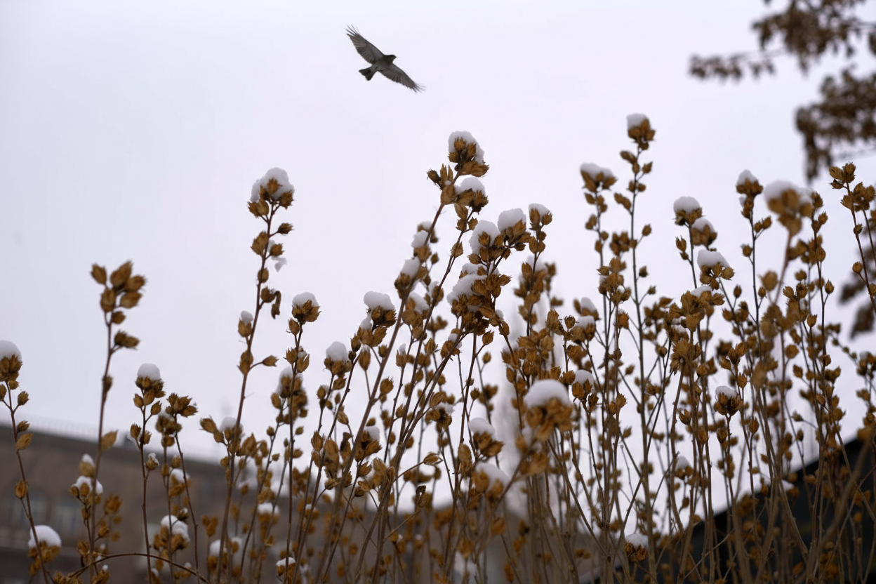 Easy 1-Edit Challenge 2